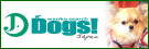 Dogs!Japan