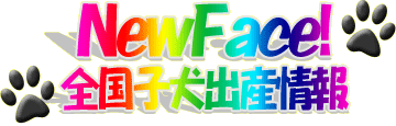 全国子犬出産情報